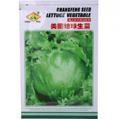 5gram summer lettuce seeds