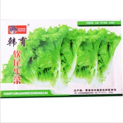 1000 seeds different types of lettuce to grow