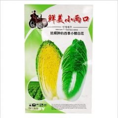 10gram cabbage palm seeds