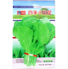 hybrid cabbage varieties seeds