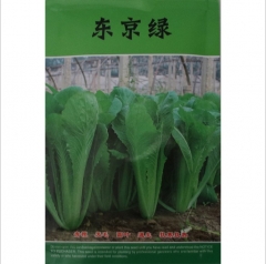 100gram decorative cabbage seeds