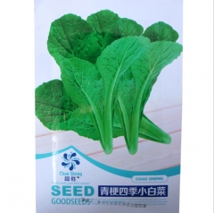 1000 seeds heat tolerant cabbage varieties seeds