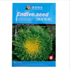 15gram curly endive seeds