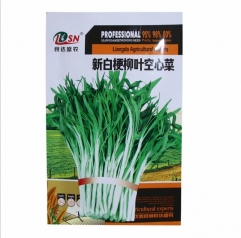 500 seeds chinese water spinach seeds