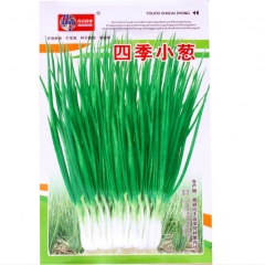 500 seeds copra onion seeds