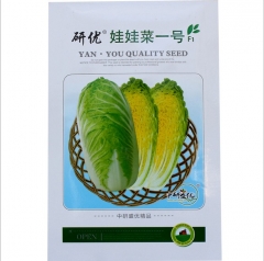 10gram stonehead cabbage seeds
