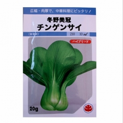 soft and tender fragrance Green Terrie seeds/PAKCHOI seeds 20gram/bags for planting