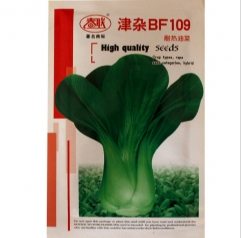 top quality high quality Green Terrie seeds/PAKCHOI seeds for sowing