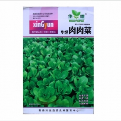 easy to plant thick fresh leaf Green Terrie seeds/FROZEN CHINGENSAI seeds 500seeds/bags for planting