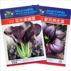 purple shanghai cabbage seeds/PAKCHOI seeds 1000 seeds/bags for planting