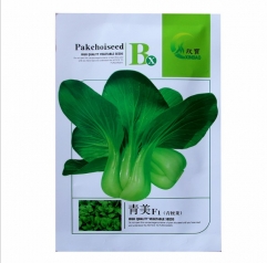 fresh and tender Dark green girdling PAKCHOI seeds/FROZEN CHINGENSAI seeds 10gram/bags for planting