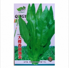 early mature light green crisp Lettuces seeds/lactuca sativa L seeds 1000 seeds/bags for sowing