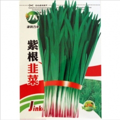 500 seeds leek flower seeds