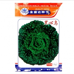 dark green Brassia seeds 16gram/bags for planting
