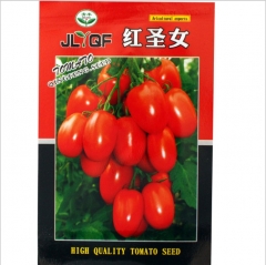 200 seeds tomato seed companies