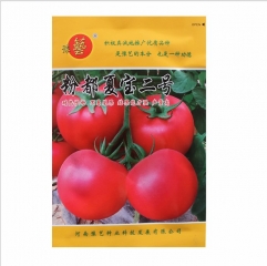 1000 seeds best way to germinate tomato seeds