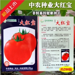 200 seeds heirloom tomato varieties
