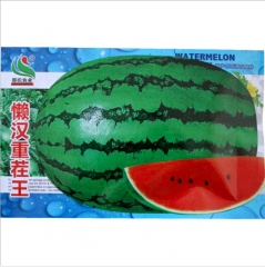 Resistance to rain Waterlogging resistance oval green peel red meat Watermelon seeds 10gram/bags