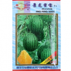 early-maturing tiny fruit green peel yellow meat Water melon seeds/melon seeds 10gram/bags for planting