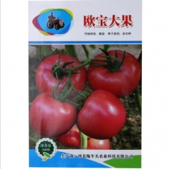 200 seed tomato seeds