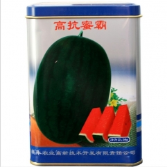 Black peel red fresh hybrid f1 watermelon seeds for planting