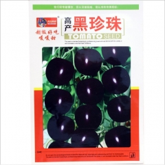 black dwarf tomato seeds