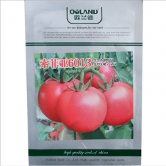 1000 seeds red snapper tomato seeds