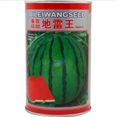 Resistance to continuous cropping Watermelon seeds/Citrullus Vulgaris Schrad seeds 80gram/bags for planting