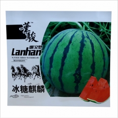 big stone green peel red meat Watermelon seeds/Citrullus Vulgaris Schrad seeds 50gram/bags for planting