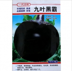 black krim tomato seeds for planting