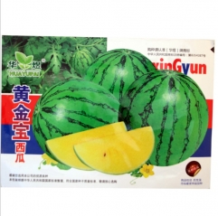 green peel yellow meat watermelon seeds 50 seeds/bags