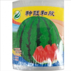 f1 hybrid watermelon seeds 80gram for sowing