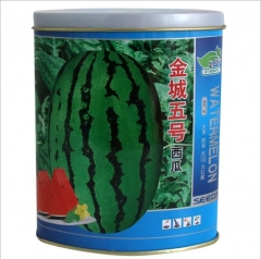 no crack watermelon seeds 50gram/bags for planting