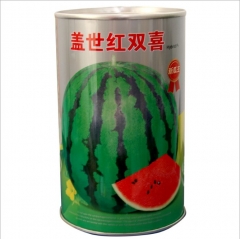 Resistance to dehiscent fruit green skin red fresh Watermelon seeds/melon seeds 100gram/bags