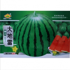 Round shape watermelon seeds 50 seeds/bags