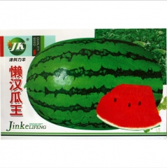 High quality watermelon seeds for planting
