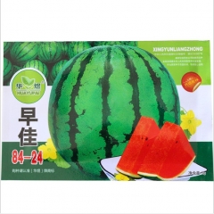 fresh early mature watermelon seeds 50 seeds/bags