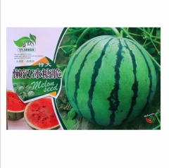 F1 thin skin watermelon seeeds/melon seeds 50 seeds for growing