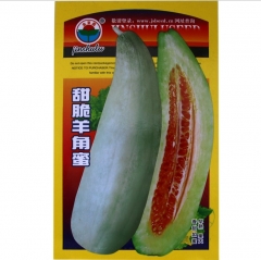 Red fresh musk melon seeds 80 seeds/bags for planting