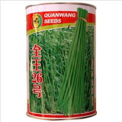 Green yard long bean seeds 500gram/bags for planting