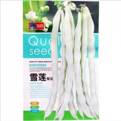 White hybrid f1 french bean seeds 50gram/bags for growing