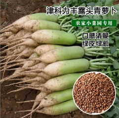 Green radish seeds for planting