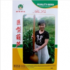 Long bottle gourd seeds 5 pcs per bags