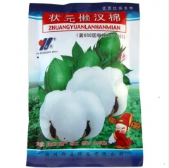 strong disease cotton seeds 1000kg for planting