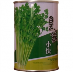 Queen hybrid celery seeds 100gram