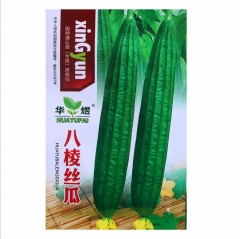 luffa acutangula seeds 40 seeds