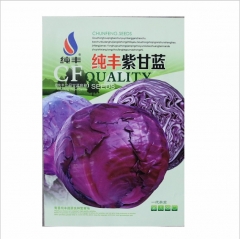 Hybrid purple cabbage seeds 300 seeds