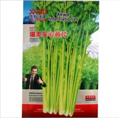 Less fibre celery seeds for planting