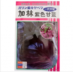 Dark purple cabbage seeds 5gram