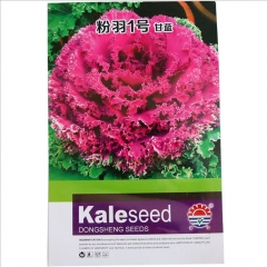 Ornamental purple cabbage seeds 1gram